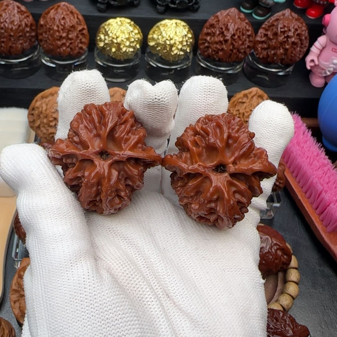 小冉核桃全品苹果园39.5