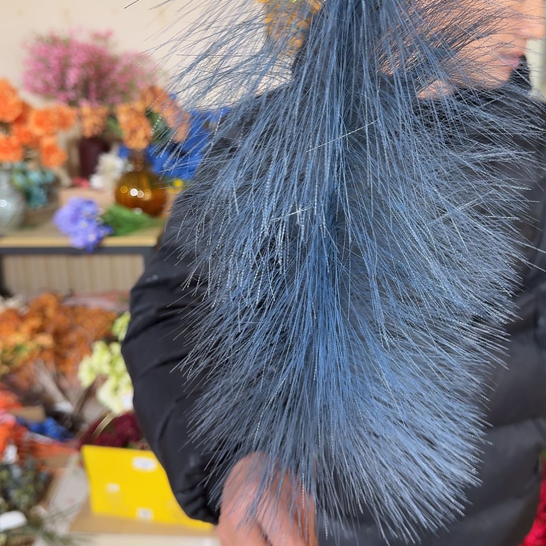 926号芦苇孤品20支