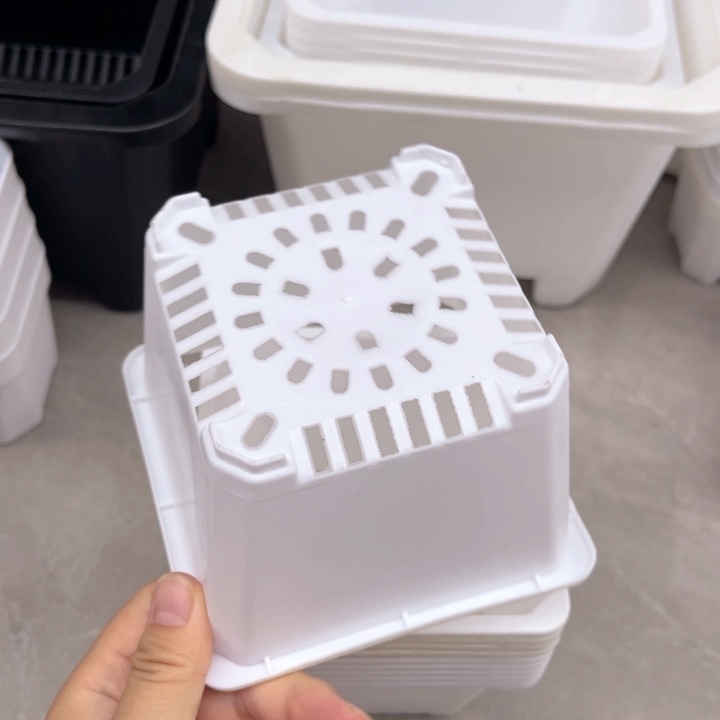 白方口11高8一组25个