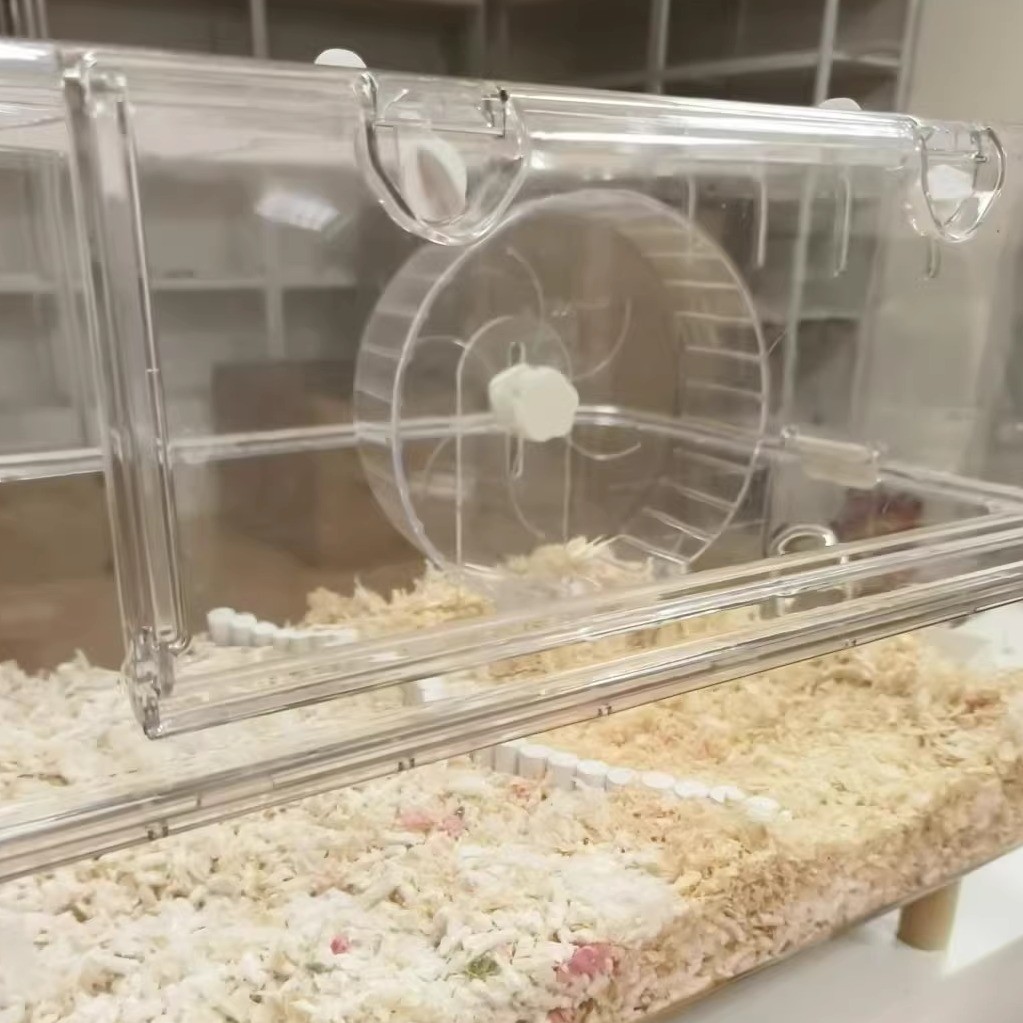 金丝熊专用静音跑轮 全亚克力 24cm