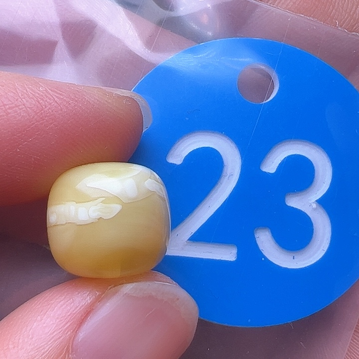 蜜蜡裸石未镶嵌花粉12.5m m