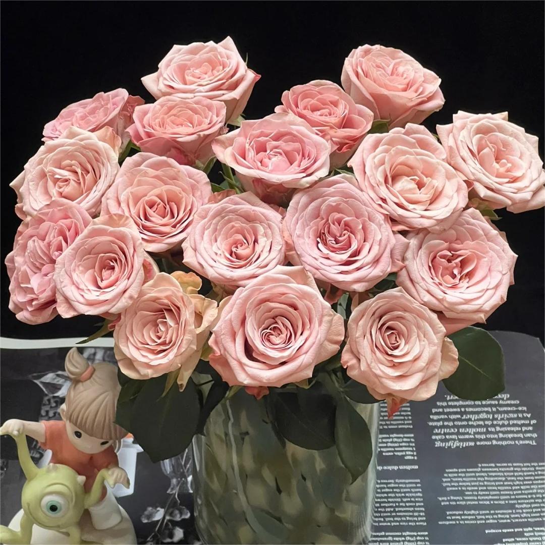 【卡布奇诺玫瑰】斗南鲜花云南直发玫瑰鲜花两单顺丰冷链包邮LT