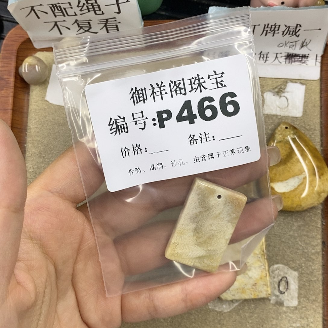 硅化珊瑚（珊瑚玉）未镶嵌颈饰三****?