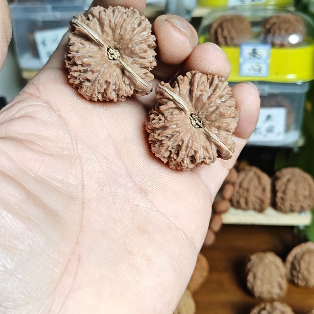 40加尺寸，137狮子头