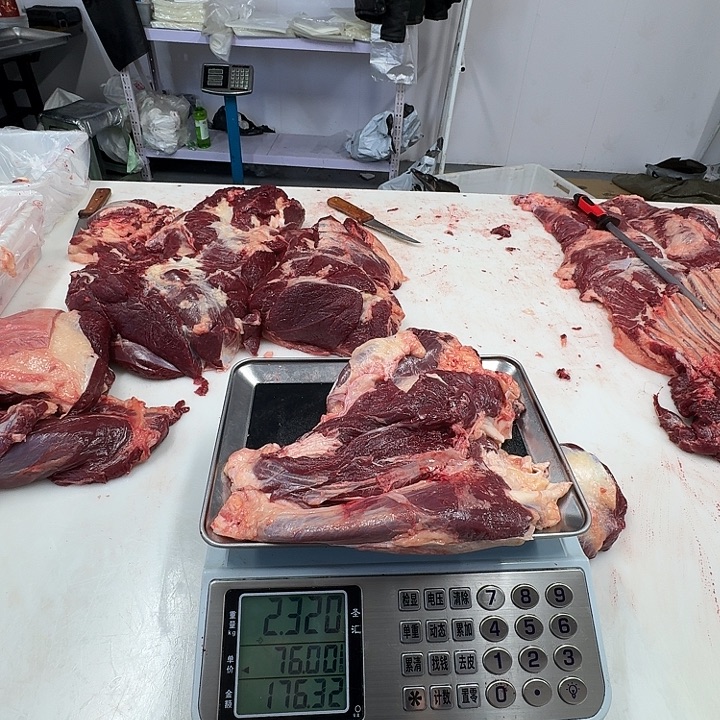 贾***12个月中国大陆腱子