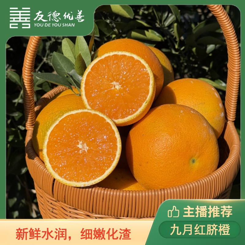 湖北九月红脐橙 4.5斤  新鲜水润，细嫩化渣 