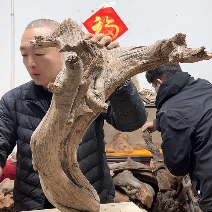 柏木阳**里我们都是好孩子啊哈哈哈