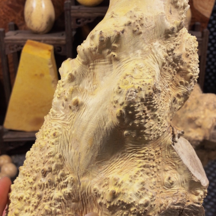 木精**作木料木料木料木料