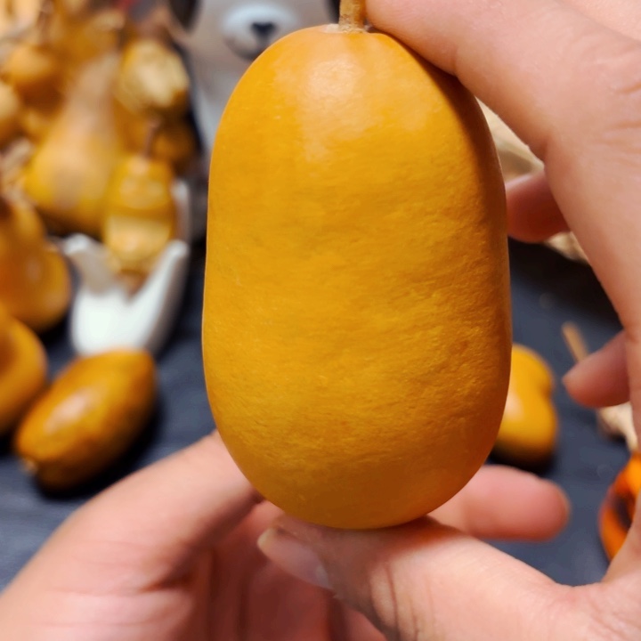 尾***。888888888888888888