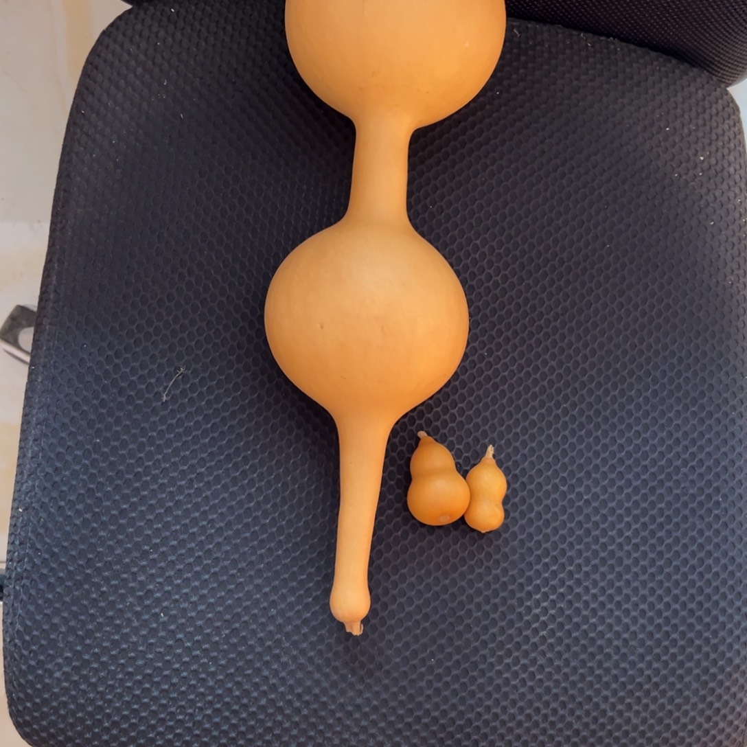 飞****木葫芦葫芦葫芦葫芦