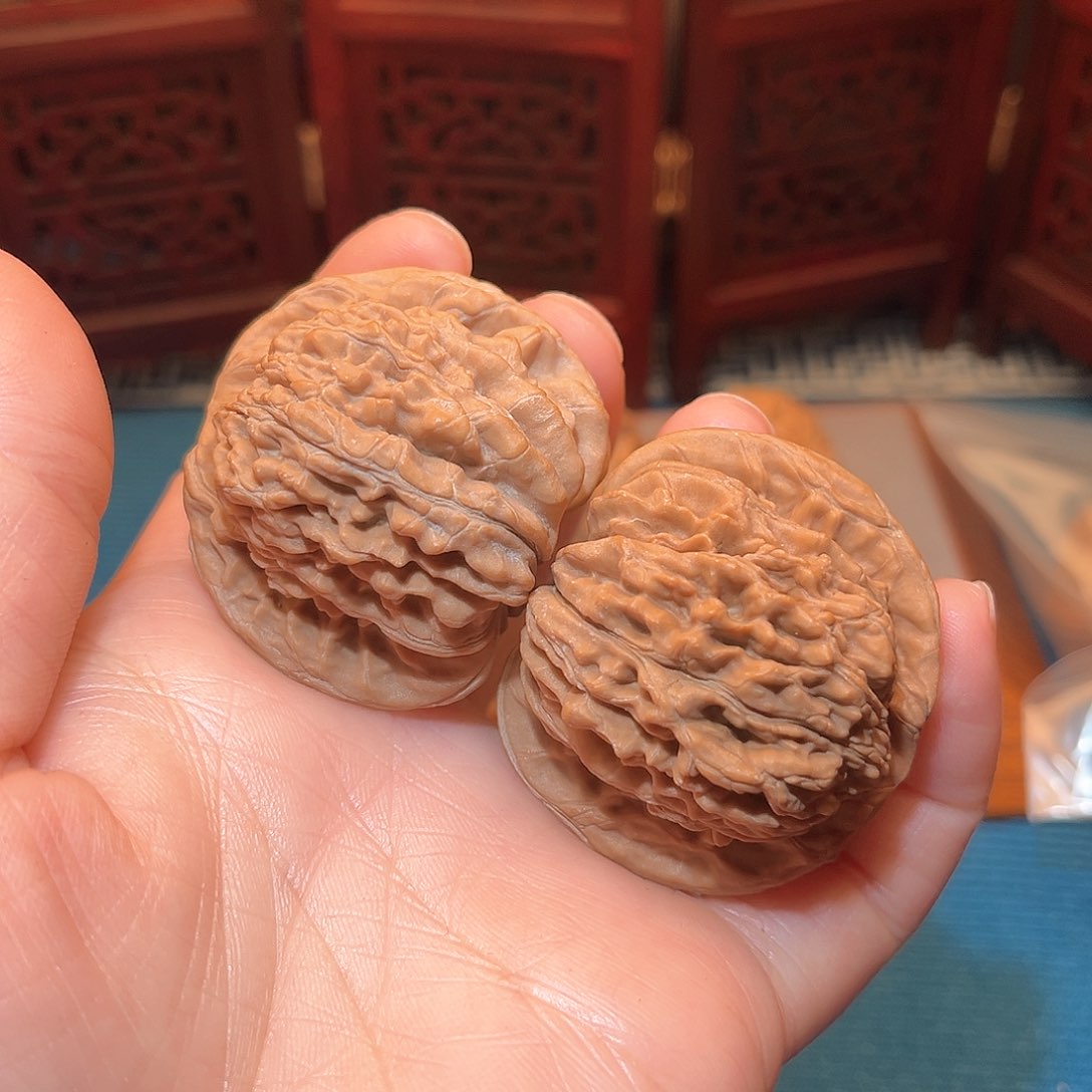 44四座楼……福利……