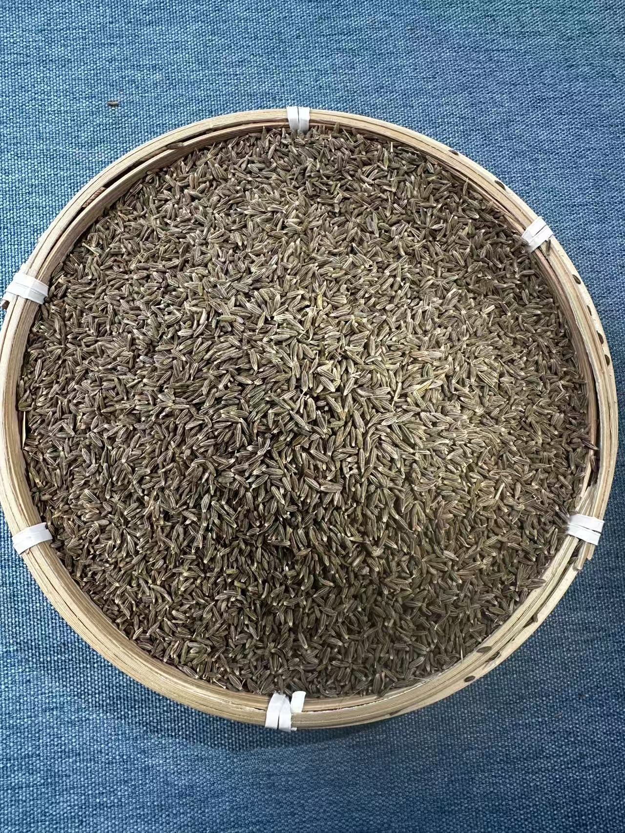 新疆孜然颗粒饱满烧烤火锅底料麻辣烫五香粉香辛料牛肉面调料