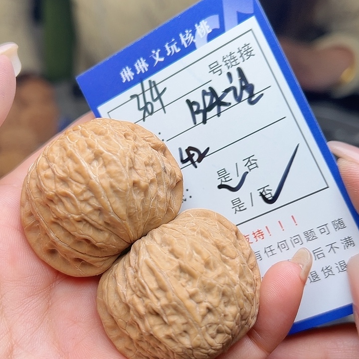 文玩核桃吊坠核桃树364