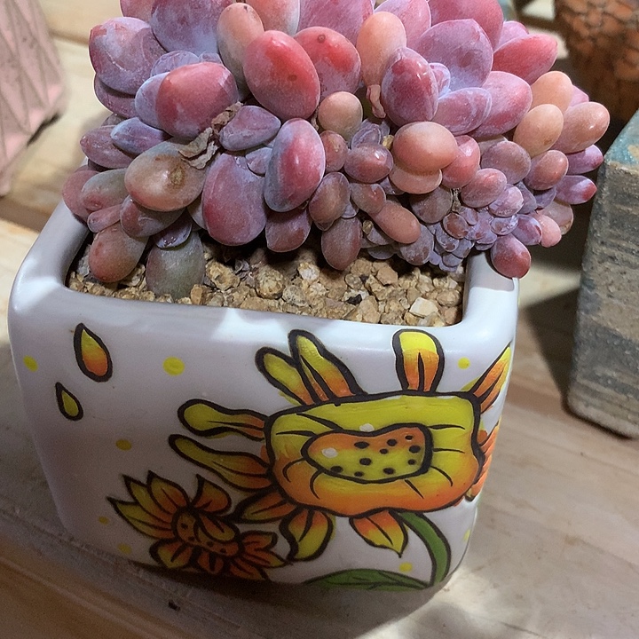 的v和v菲菲吃饭弟弟修车非常