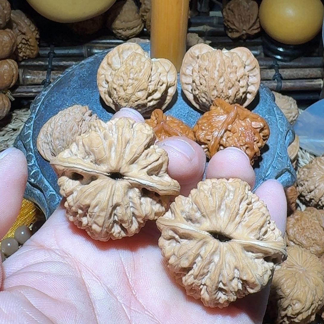 ****。核桃全品山地41尺龙洞峪