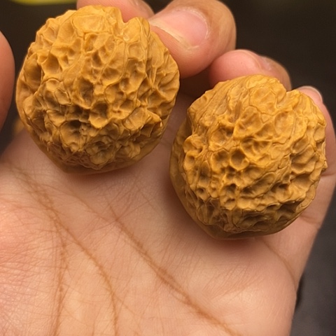 文玩核桃把件39尺珊瑚绣球