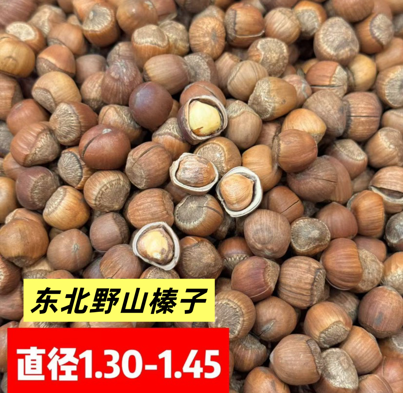 东北野山熟榛子1.3-1.45中粒
