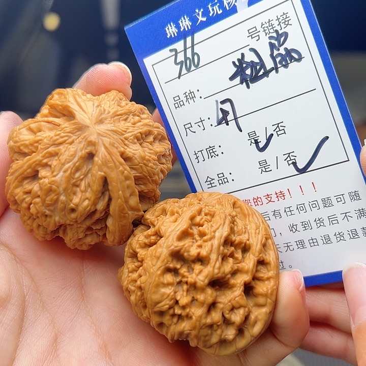 文玩核桃吊坠核桃树366