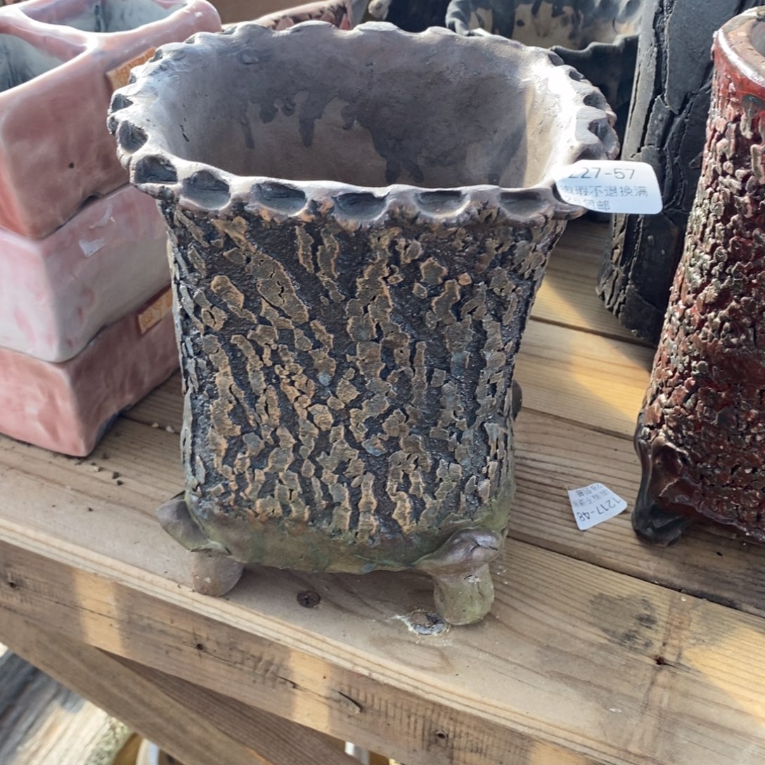 用***957号多肉盆口径14