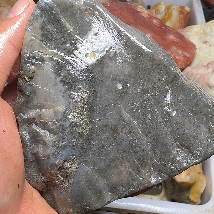 一***꧂寿山石寿山石的种类