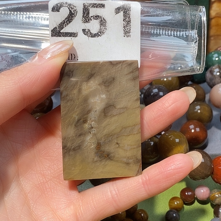 硅化玉未镶嵌天然北票树化玉吊坠