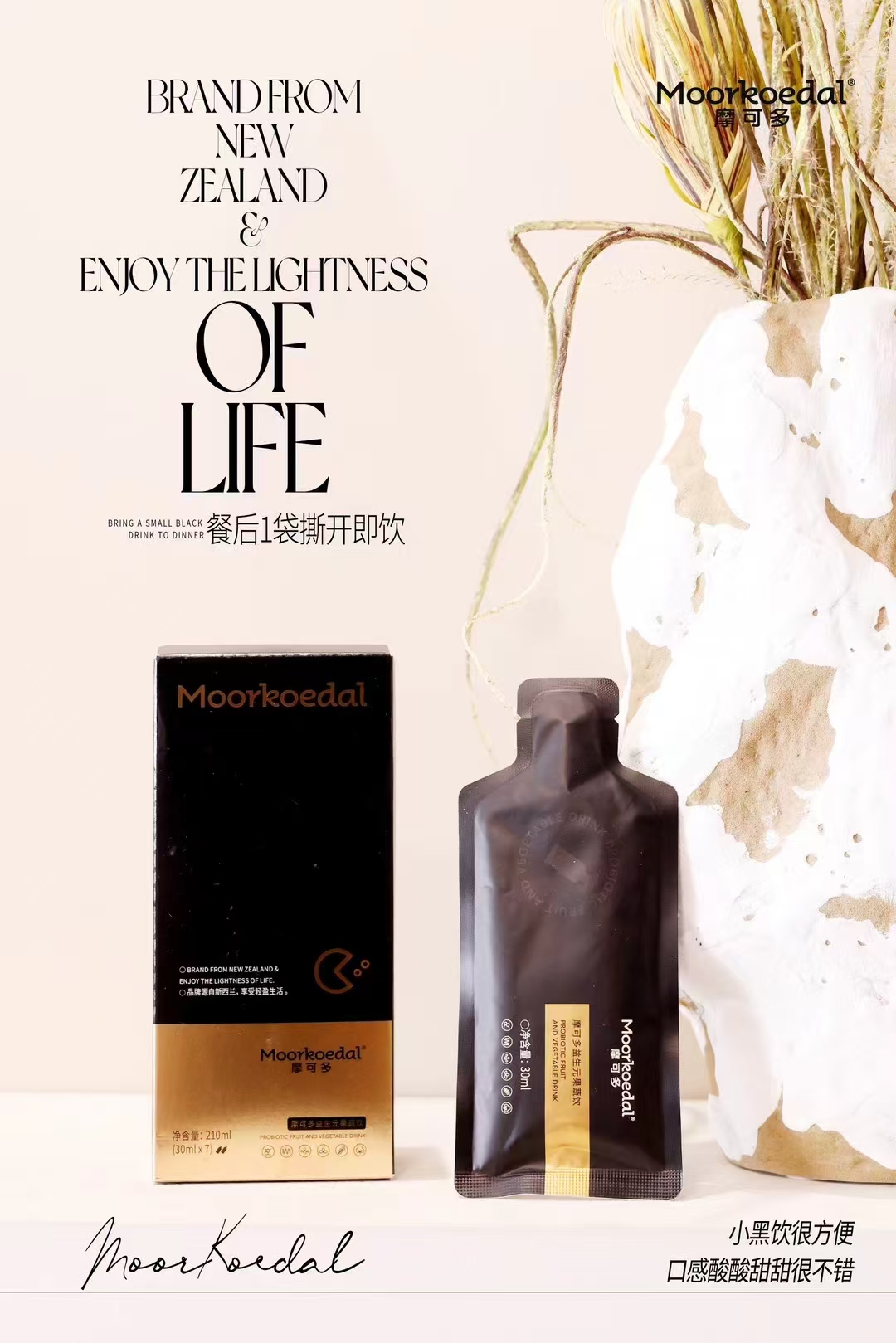 摩可多益生元果蔬饮益生菌小黑饮小黑条