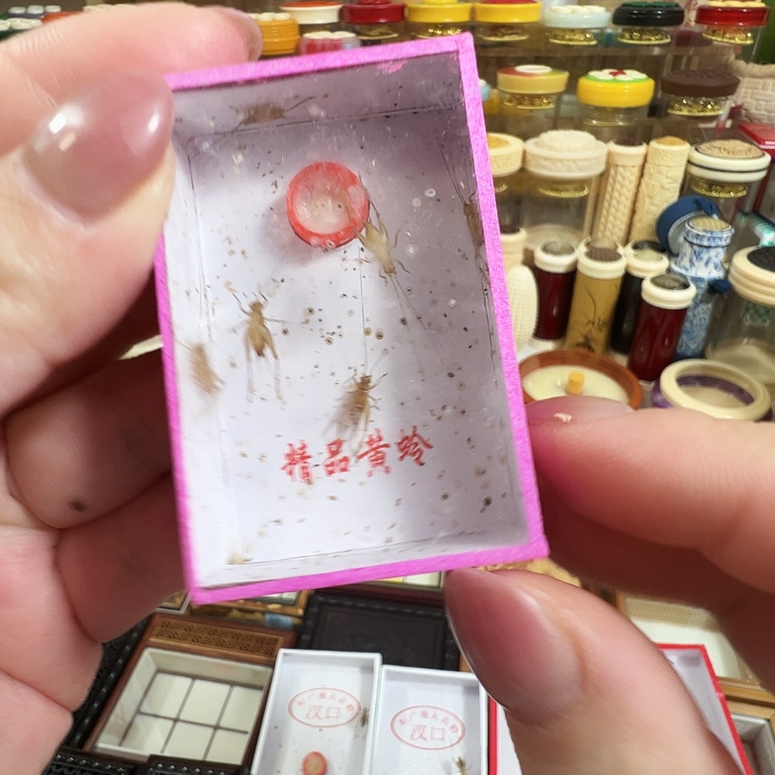 "***魜哈哈哈小黄蛉两盒