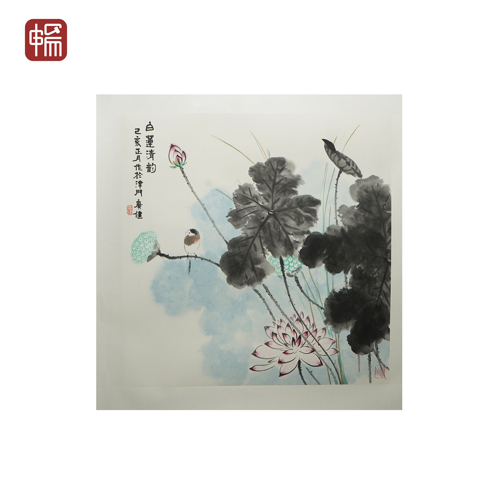 T1210 1955年作《白莲清韵》69*69（4.28平尺） 纸本镜片 MZ