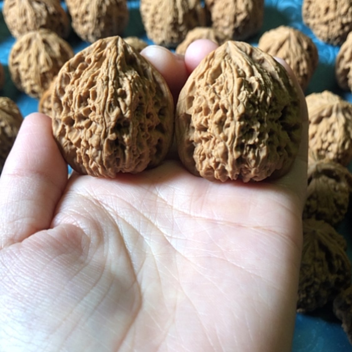 【闪购商品】文玩核桃把件不*通一大将