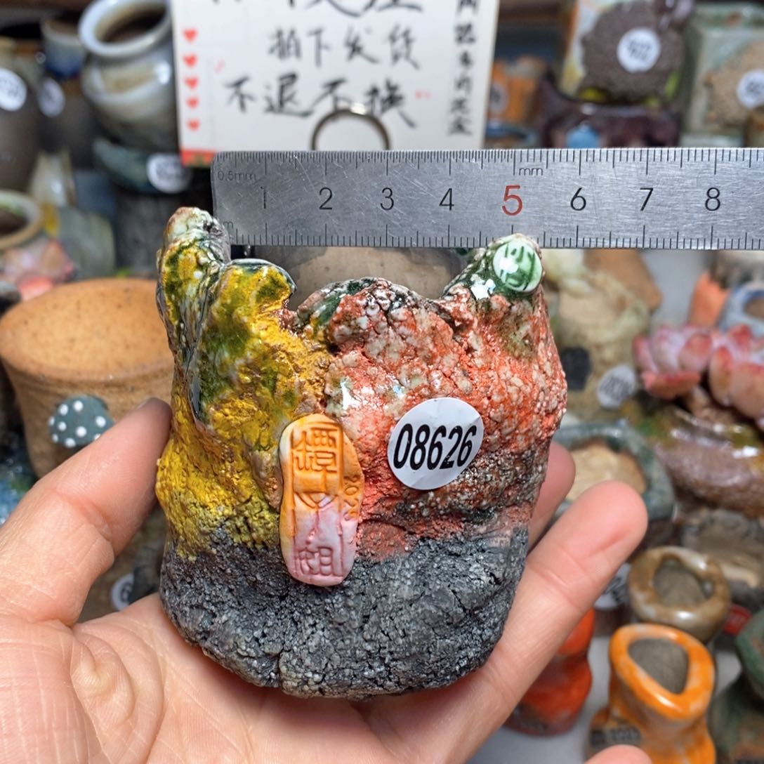 有裂花盆拍1送一个小礼物