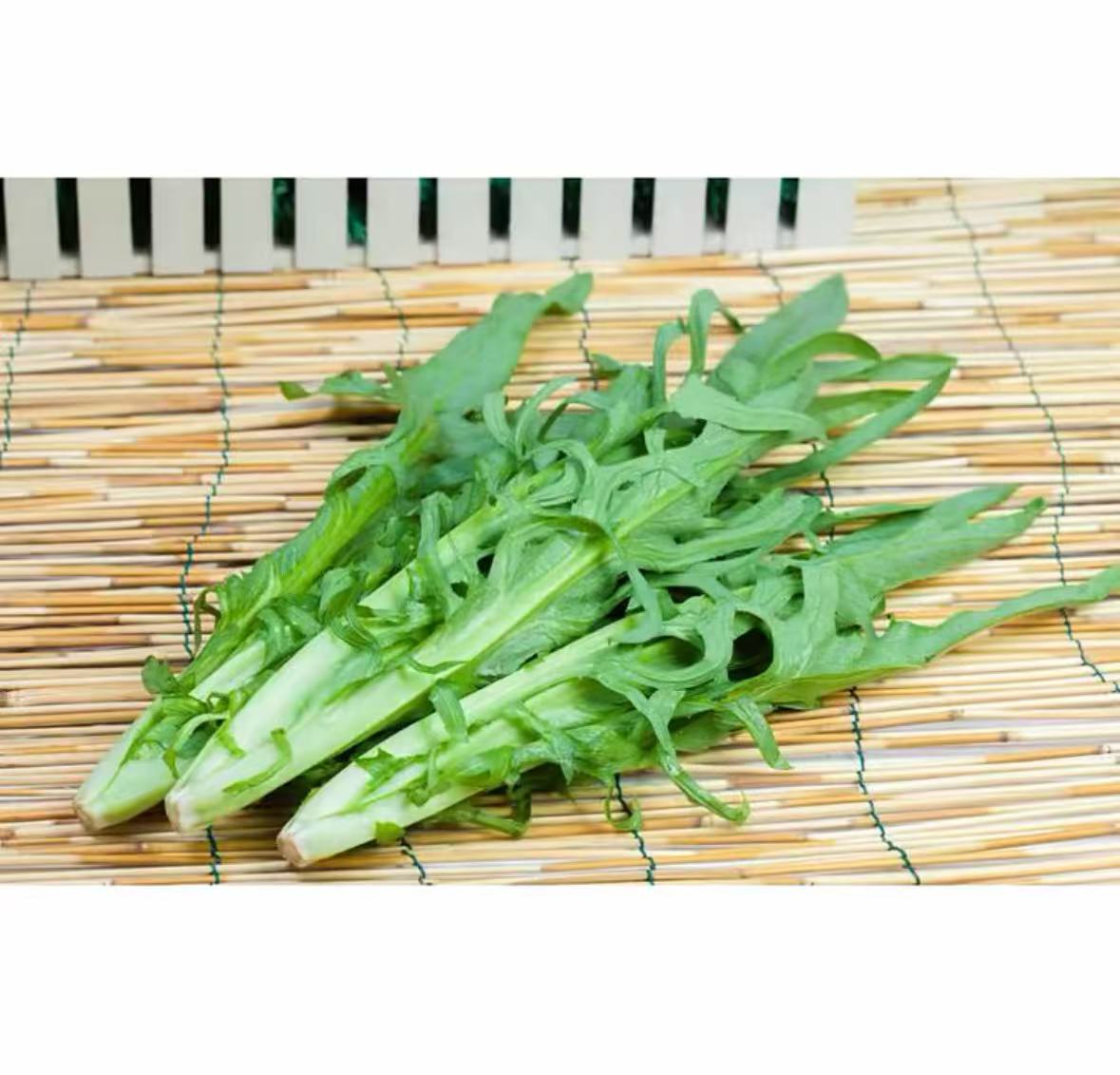 店满5包邮包邮-苦麻菜曲麻彩种（包装袋13x19厘米）每包约800粒左右
