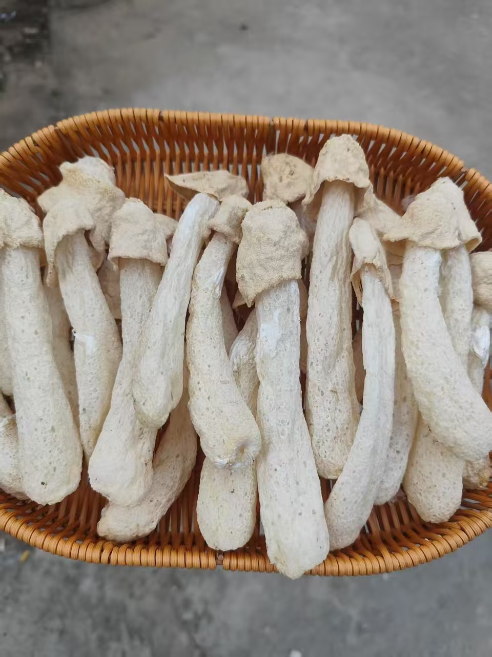 农家自产无熏硫柴火烘干未开裙竹荪菇蕾