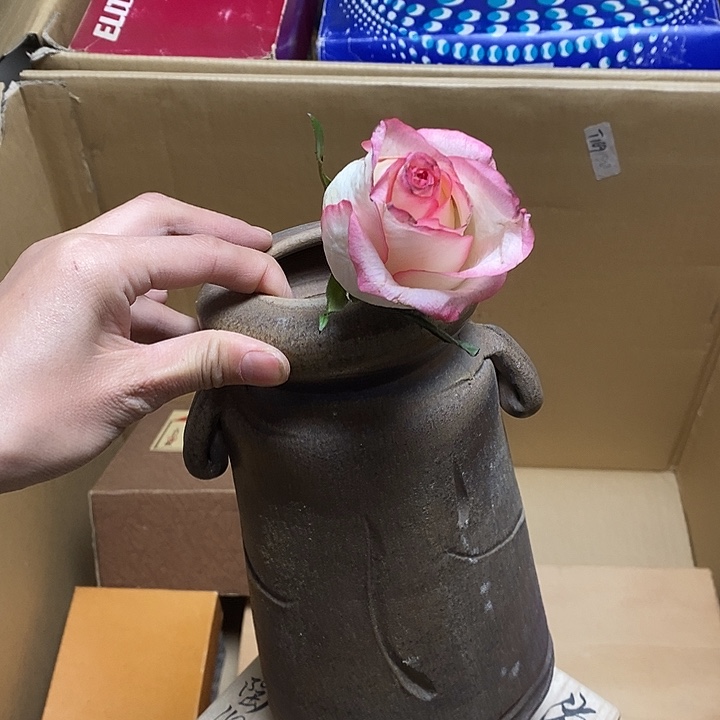 瓷片Y104 雅舍甄选优质大漂亮