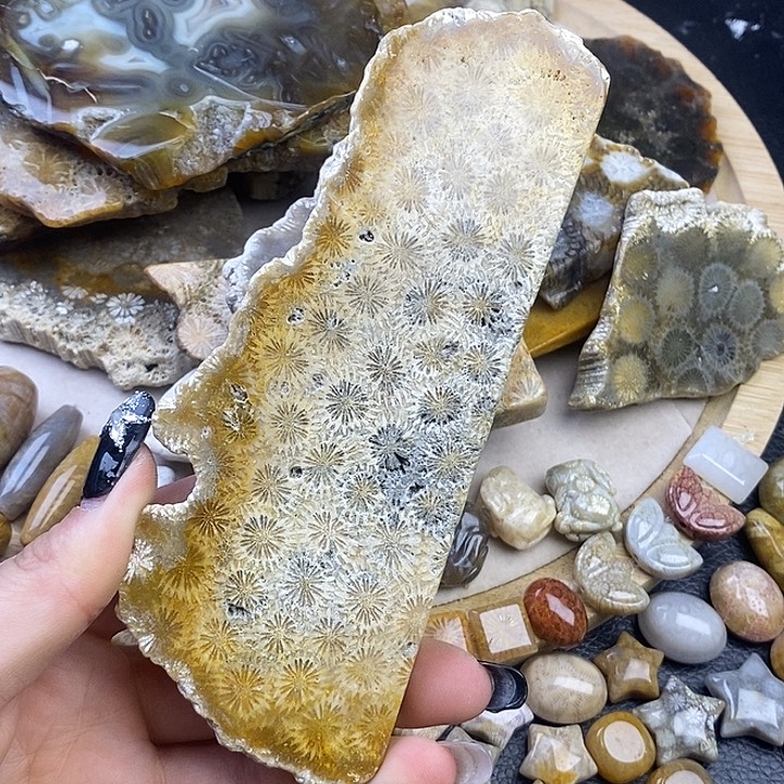 硅化玉未镶嵌颈饰23