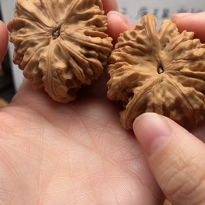 成***7大大大大大大官帽