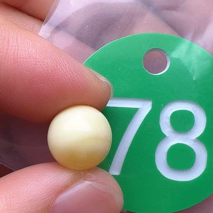 蜜蜡裸石未镶嵌７*´10.5m m