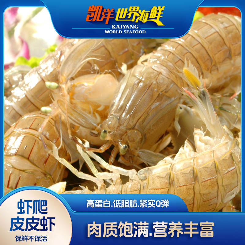 【凯洋严选】 虾爬 凯洋世界海鲜 皮皮虾 保鲜不保活