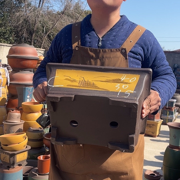 紫砂紫砂花盆盆栽