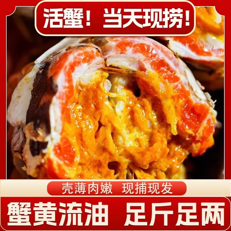 【活蟹】现捕现捞大闸蟹公4.0-3.7两母3-2.7两母共10只顺丰京东K29