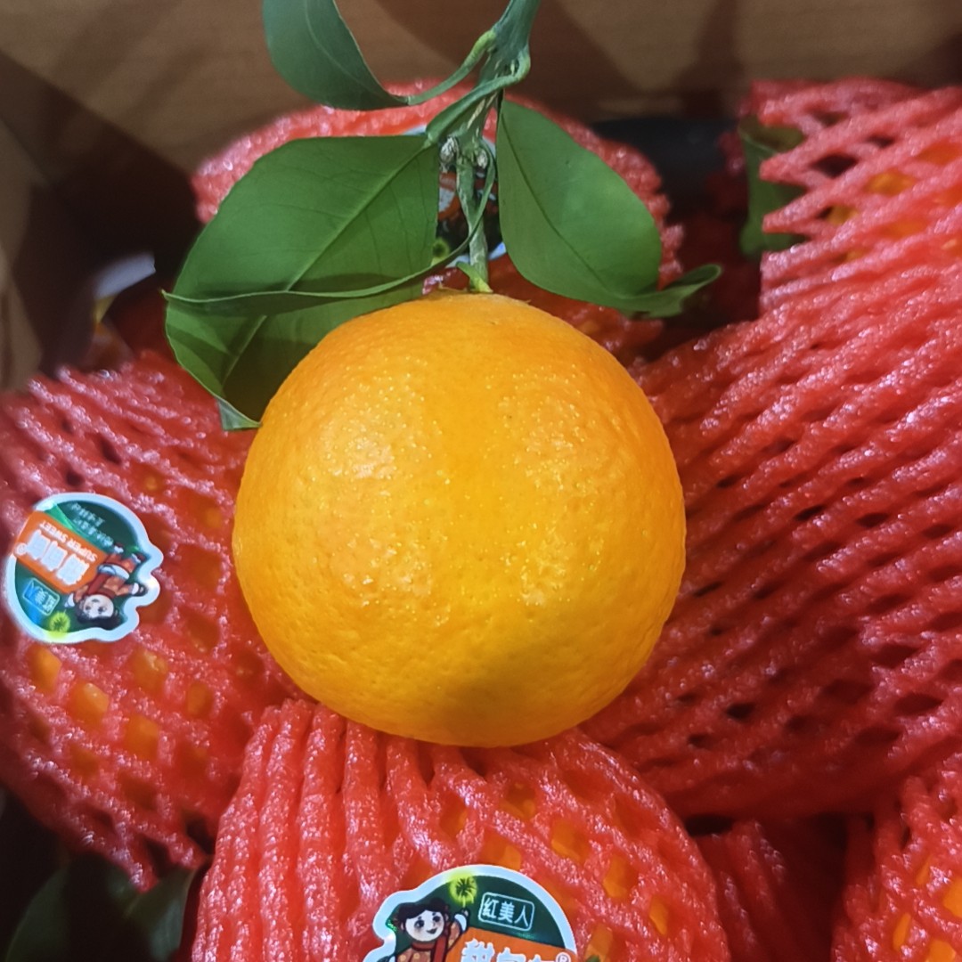 甜甸甸红美人果冻橙带箱7.5-8斤左右