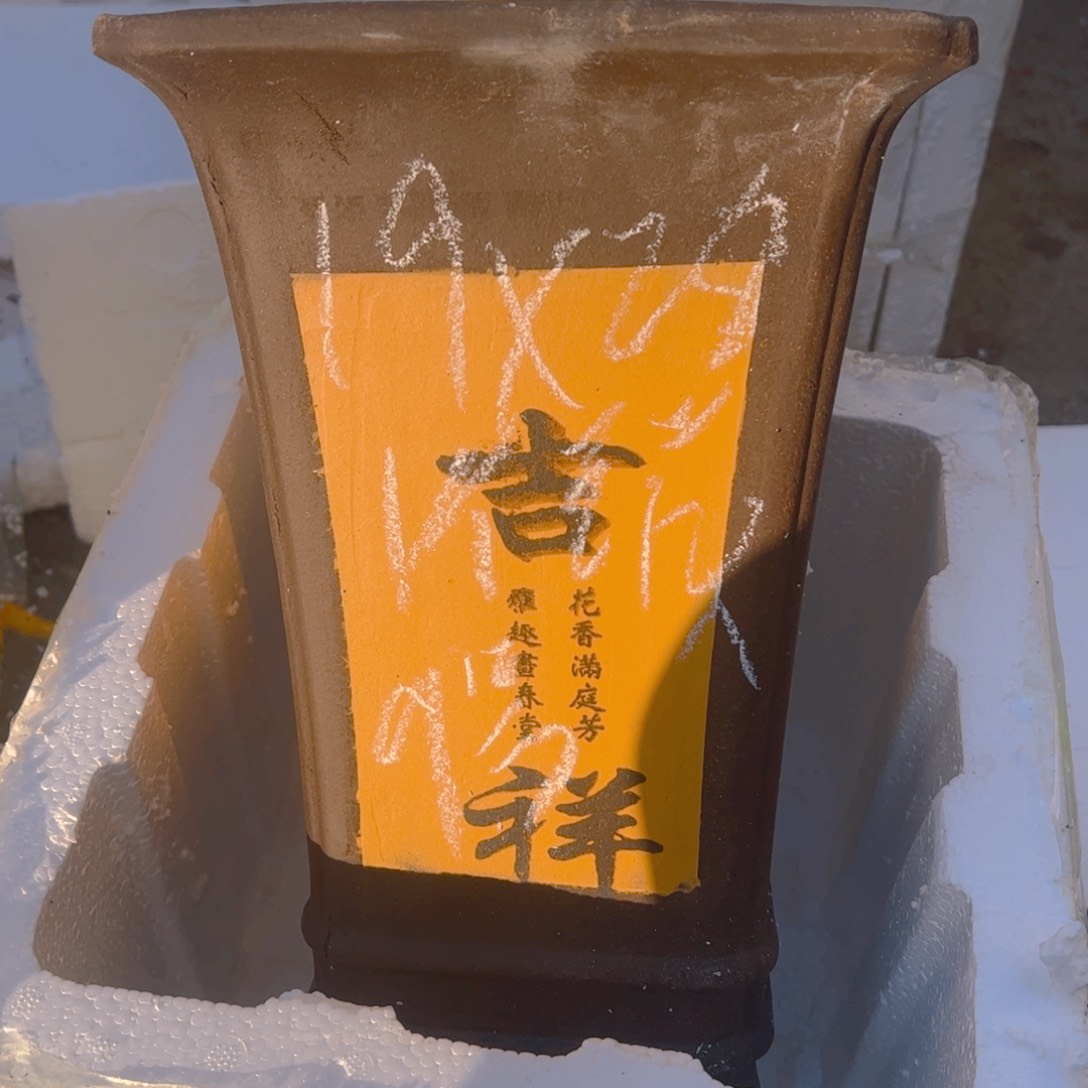 紫砂9号……………………………………