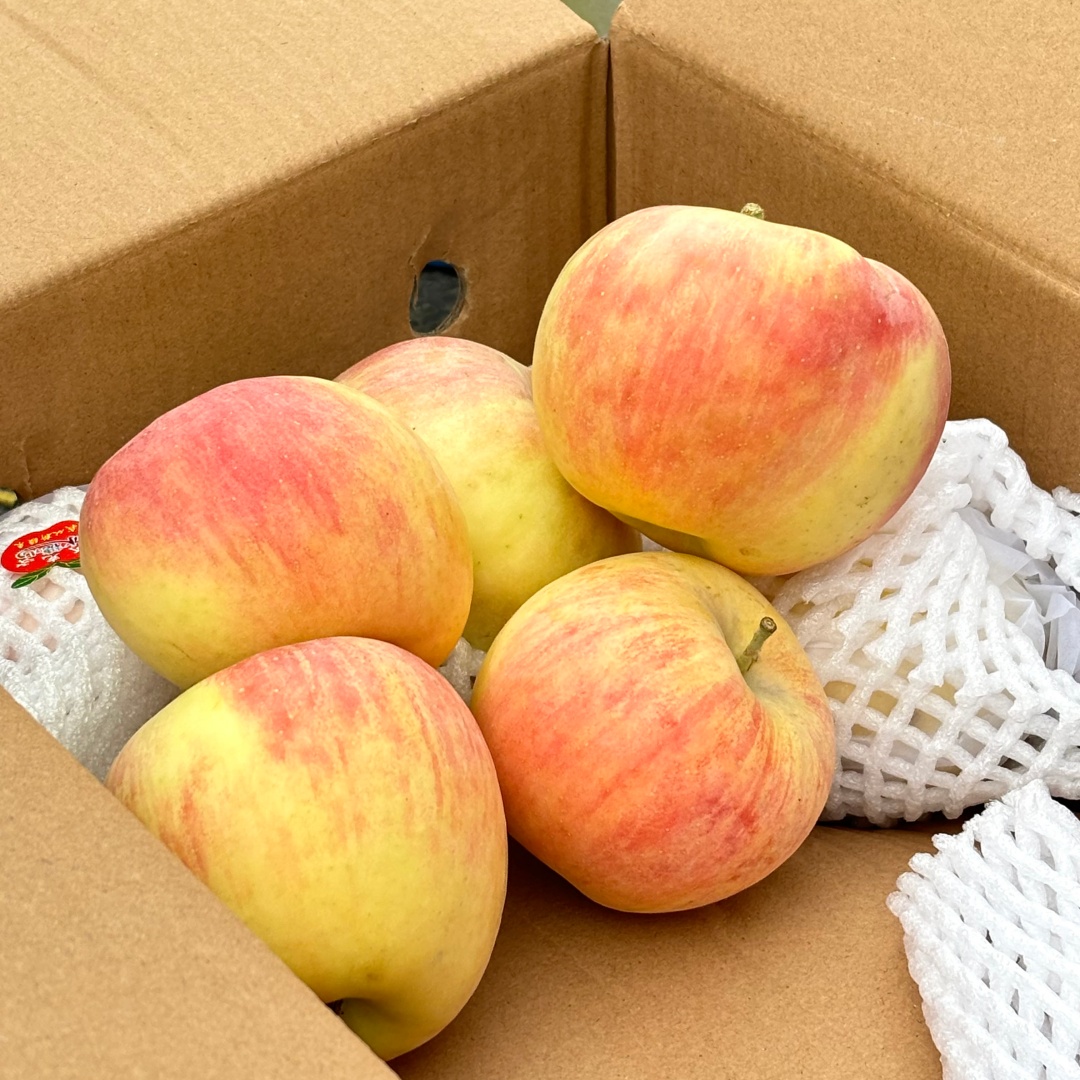 新疆阿克苏冰糖心苹果 毛重10斤左右 脆甜口 肉质细腻 【只发河南】