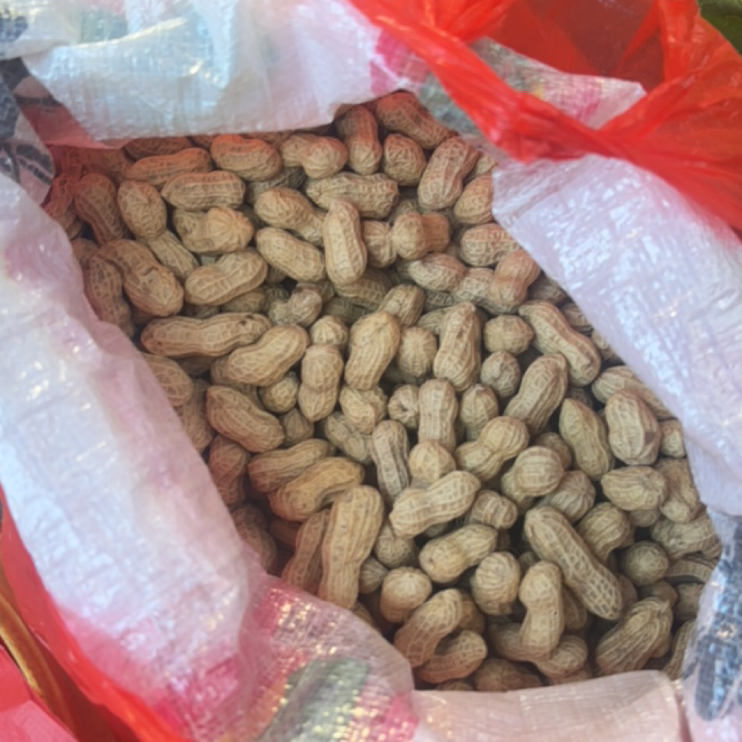 农家花生 自种 纯天然 原生态