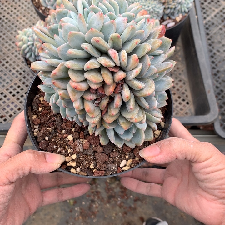 再***人122145缀嗯嗯嗯嗯嗯好