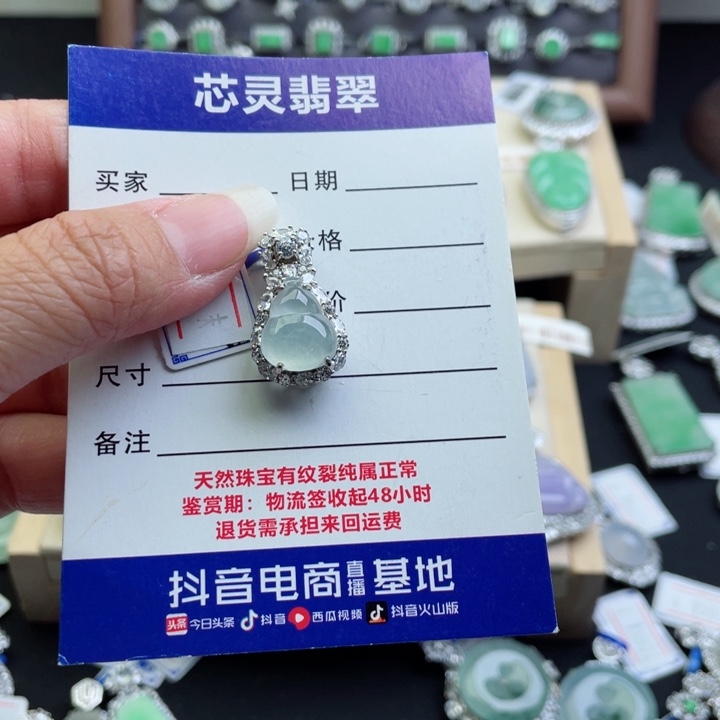 翡翠银S925镶嵌颈饰?****学