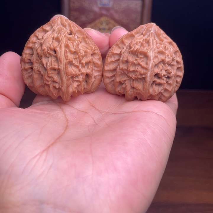 三角白  全品  无修     