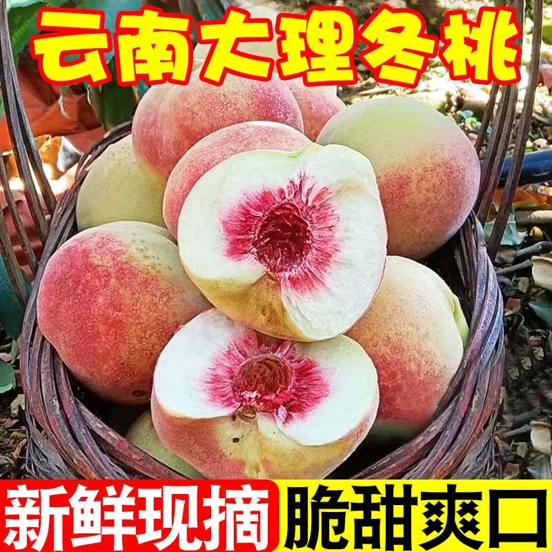 云南大理高山冬桃新鲜现摘甜脆当季应季水果包邮