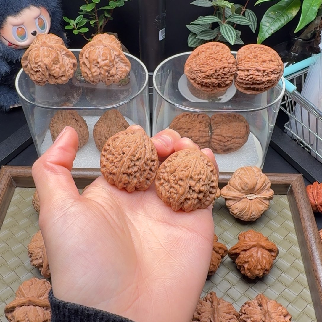 龙脊菩提把件全品三角密纹34