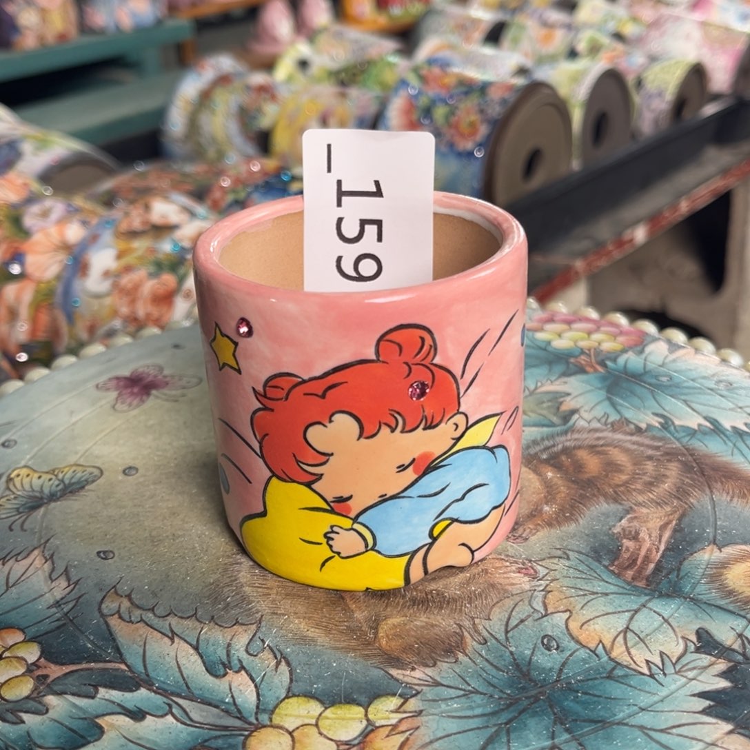 用***9159多肉花盆   1个