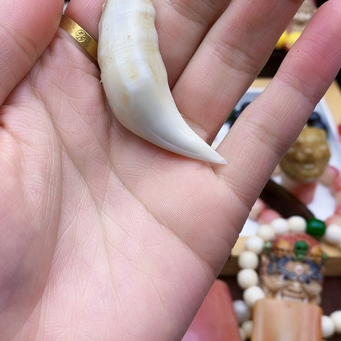 驼骨手串/手链骆驼骨整牙